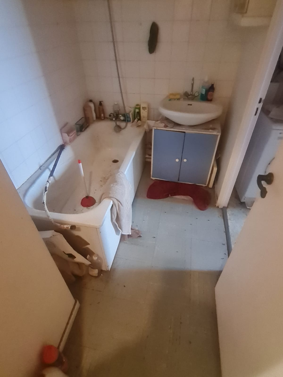 Nettoyage post-découverte : procédures et précautions essentielles IMG 20241016 WA0077
